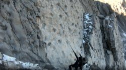 Thousands of dinosaur footprints found on Italian mountain