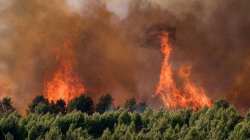 France records 2,025 excess deaths at peak of heatwave as Europe <b class='text-danger'>braces</b> for more extreme weather