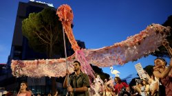 'Flamingo Revolution' takes off as thousands demand Albanian PM's resignation
