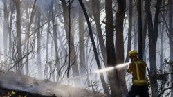 Twelve die in Spain wildfire as heatwave continues in southern Europe
