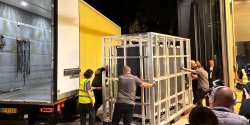 Bayeux Tapestry delivered to British Museum in dead of night