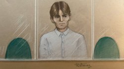 Norway teen did not plan to carry out 'hit' - court