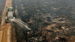 Belgian wildfire doubles in size on third <b class='text-danger'>da</b>y tearing through nature reserve