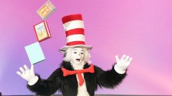 Viral 'Cat in the Hat' TikTok trend sparks fun fake videos but also real fear