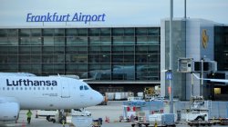 Two German airport workers die of malaria after 'mosquito arrives on plane'