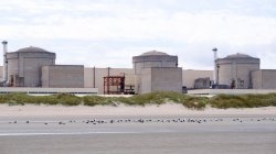 Jellyfish force partial shutdown of French nuclear plant