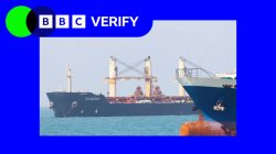 Hormuz plan paused 50 hours after Trump announced it - what happened?
