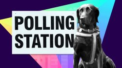 What you need to know about the elections in England, Scotland and Wales