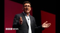 Watch: Burnham says UK could go 'all the way' towards rejoining EU