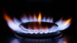 Chris Mason: Jackdaw approved but tricky energy trade-offs remain