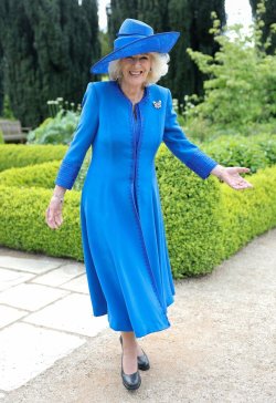 Queen Camilla sparks frenzy with striking appearance at garden party