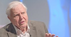 Netflix to release doc recounting ‘remarkable’ David Attenborough story