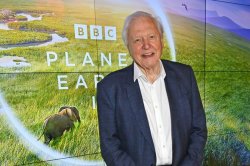 David Attenborough's diet could be 'key' to long life as he turns 100 on May 8
