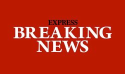 Beloved rocker, 56, dies suddenly after falling unconscious on stage