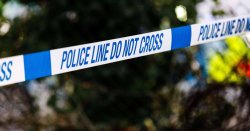 Boy, 15, found dead in woodland