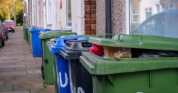England homes face new '4 bin' recycling rules from March - BBC expert £400 warning