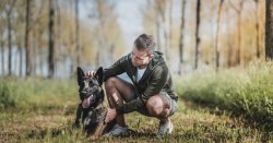 UK vet's 'venomous' bites warning for all dogwalkers