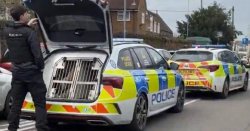 Birmingham incident LIVE: Armed cops swarm Alum Rock area after 'stabbing near school'