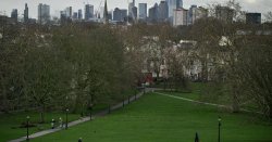 Man, 21, stabbed to death in Primrose Hill as murder investigation launched