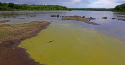 Horror flesh-eating bacteria found lurking in New York waters - victims can die in hours