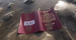 POLL: Should the UK pull the plug on £660m France migrant deal?