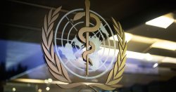 Ebola global emergency as WHO chief admits he has no vaccine: 'I'm in panic mode'