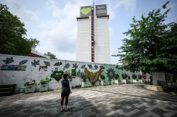 Major Grenfell fire update as police reveal when they will decide on criminal charges