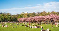 UK weather maps show 31C heatwave - as BBC forecasts no rain for 14 days