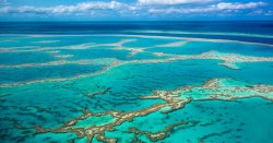Man dies after being mauled by shark just days after another fatal attack in Australia