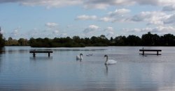 Teenage girl found dead at water park on Bank Holiday Monday