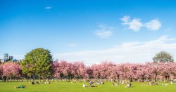 Extra bank holiday for millions next month