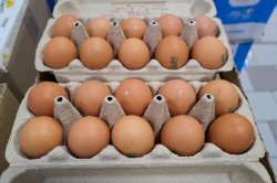 Sainsbury's customers make 1 observation as supermarket stops selling brown eggs