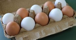 What makes eggs go brown as Sainsbury's stops selling them