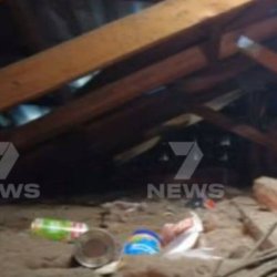 Grandmother finds unwelcome guest secretly living in her attic after 'loud thud'