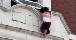 Heroic bystander and police save toddler dangling from window ledge in dramatic rescue