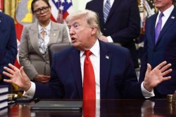 Trump to celebrate becoming the oldest US president ever elected with UFC cage fight