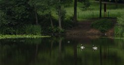 Boy, 4, 'abducted' as he was playing near Cradley Heath pond - suspect still at large