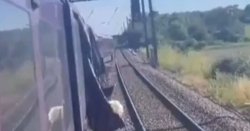 Bedford train passengers describe horrors with 'blood everywhere' as one shares footage