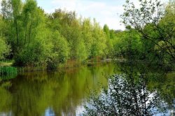 UK beach at West Sussex lake being closed as 'people fallen ill after entering water'