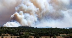Spain wildfire horror as huge blaze erupts near tourist hotspot - 10 towns locked down