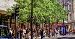 Calls for red tape to be slashed to allow more trees on high streets