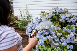 Hosepipe ban issued to millions of UK households - full list of water companies