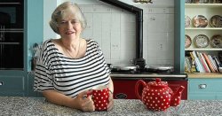 Inside Ann Widdecombe's Dartmoor home: 'You don't see another human being for days'