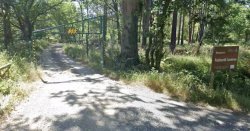 Horror as man 'raped in nature reserve car park by suspect who stole £50 from pocket'