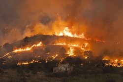 Spain wildfires: Tragedy as seven Brits killed in devastating blaze in Almeria