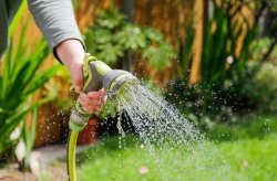 Hosepipe ban brought in for 2.4m people as South East Water extends restrictions