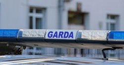 County Cavan crash: Tragedy as girl, 9, dies days after mother killed in horror incident