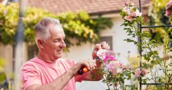 BBC Gardeners’ World expert shares the simple planting job to do this month