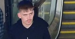 Manhunt after teenage girl sexually assaulted on train by man who got off at Gatwick