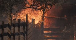 Body found after chainsaw 'started wildfires' as arrested man says 'I'm so sorry'